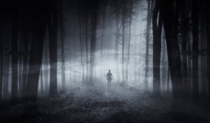 paranormal forest scene